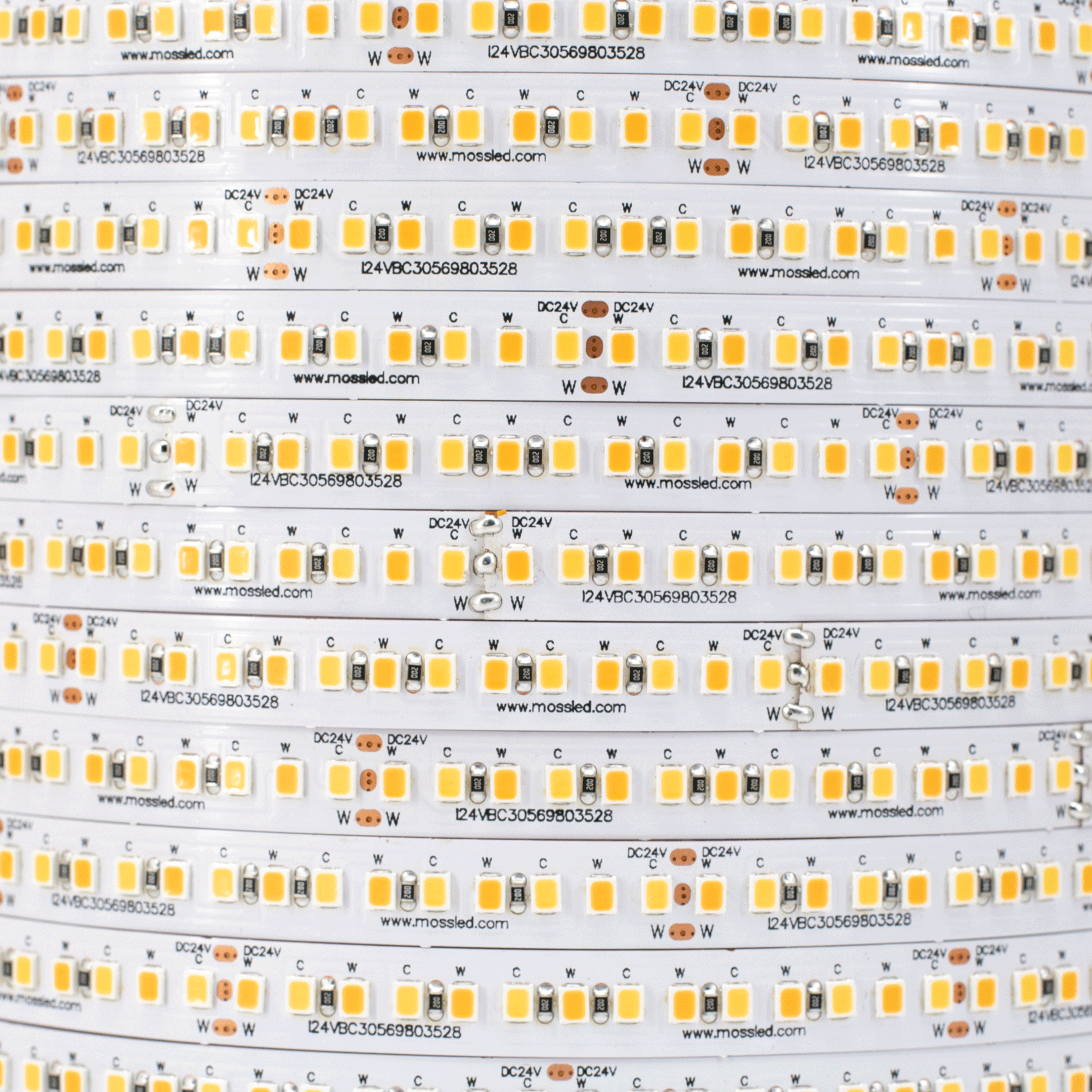 ShortCut FlexLED Bi-Colour 2700K - 6000K 24V (CCT Adjustable) IP43 (Indoor) 240 LED/meter Bare Wire from www.thelafirm.com