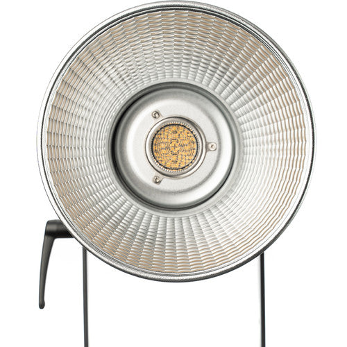 LS 300x Bi-Color LED Light (A-mount) from www.thelafirm.com