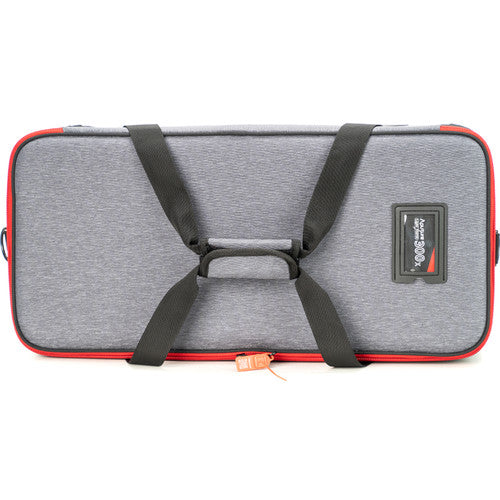 LS 300x Bi-Color LED Light (A-mount) from www.thelafirm.com