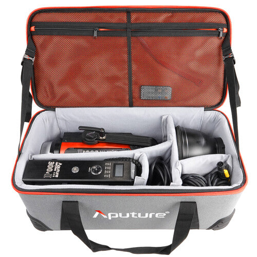 LS C300d II Daylight LED Light (A-mount) from www.thelafirm.com