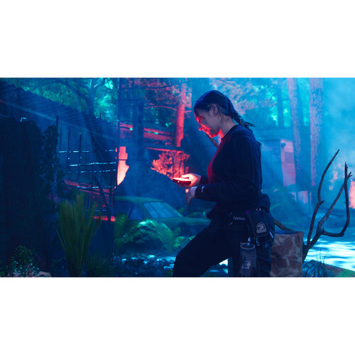 MC Pro from www.thelafirm.com