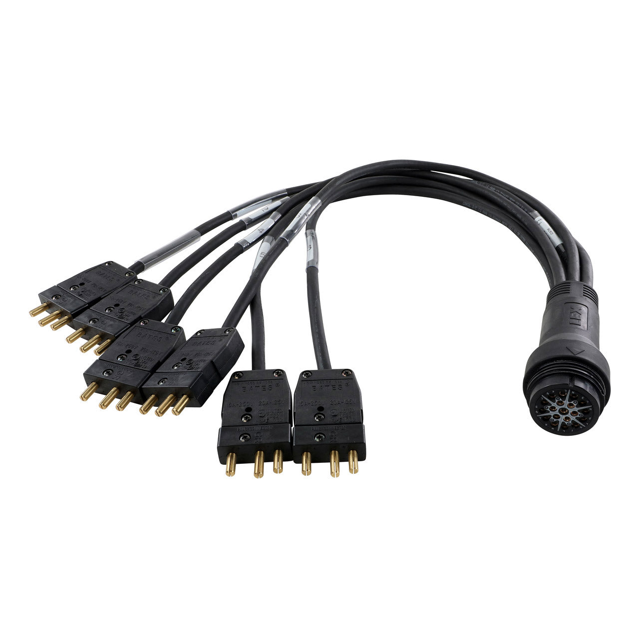 EverGrip® Molded 20A Stage Pin to 19-Pin Breakin from www.thelafirm.com