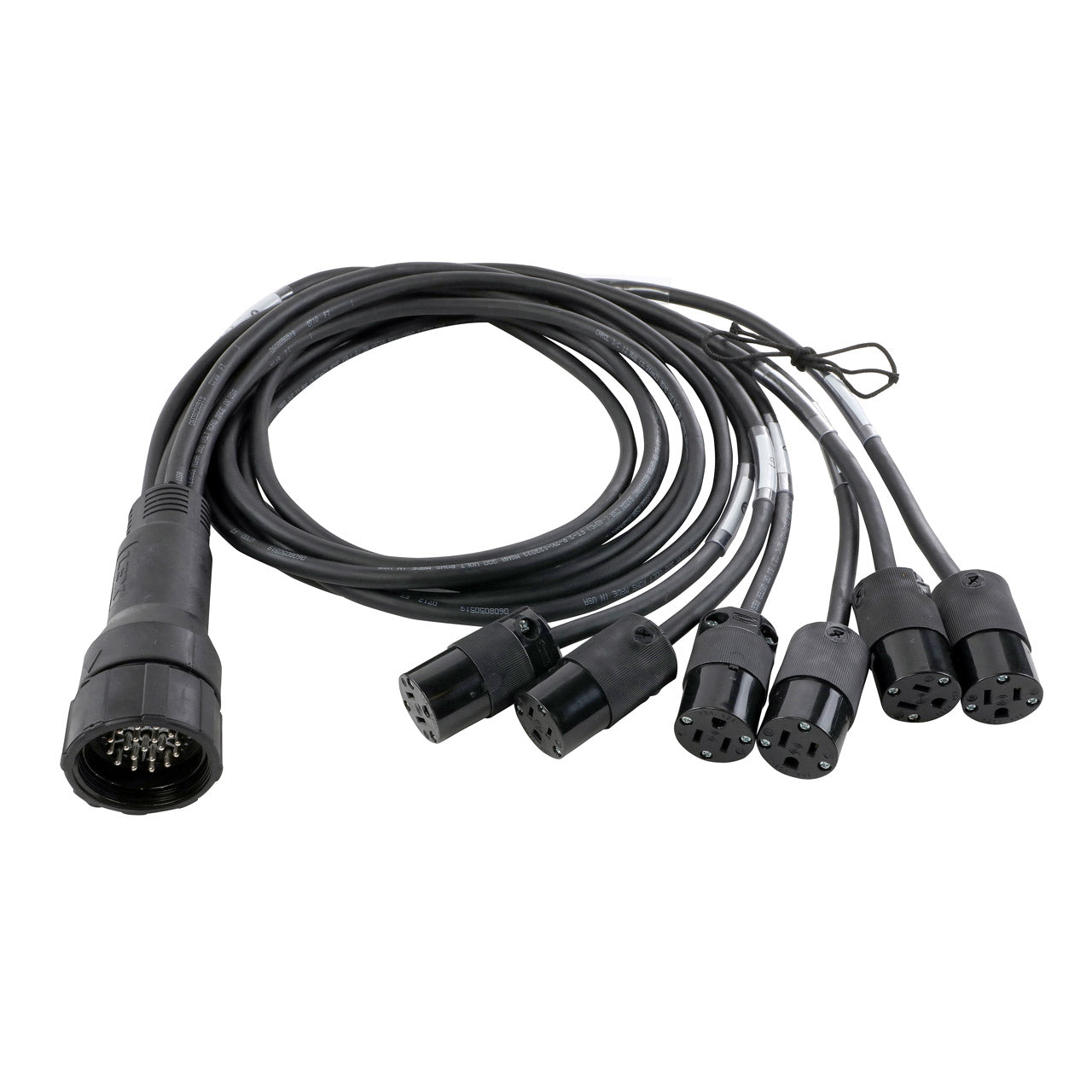 EverGrip® Molded 19-Pin Male (Plug) to (6) NEMA 5-15 (Edison) Females (Connectors) Breakout from www.thelafirm.com