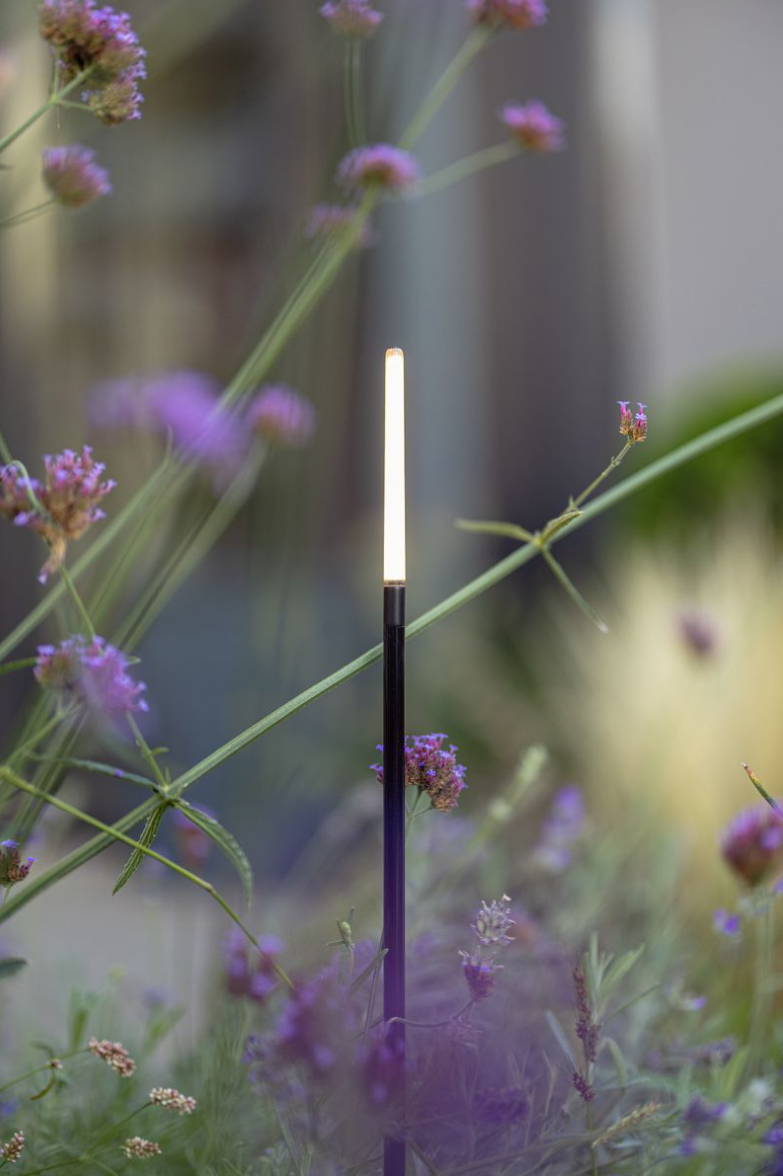 BREEZE LOW - 10202810