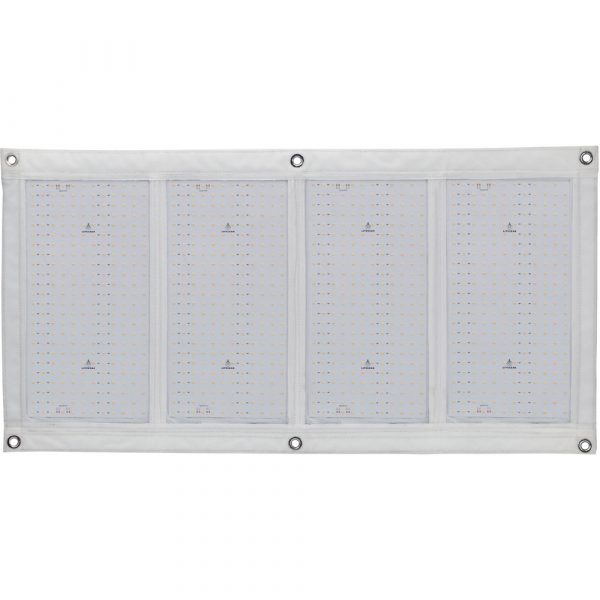 LiteTile Plus 2x4 Head from www.thelafirm.com