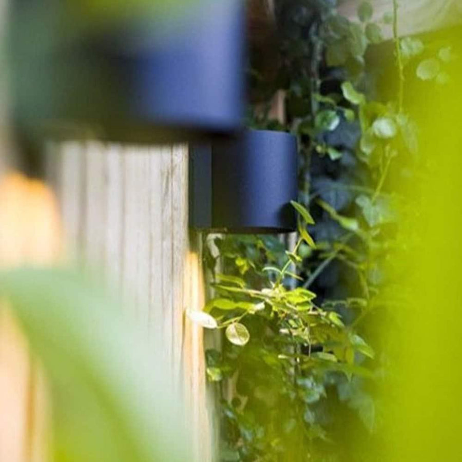 HALO DOWN from www.thelafirm.com