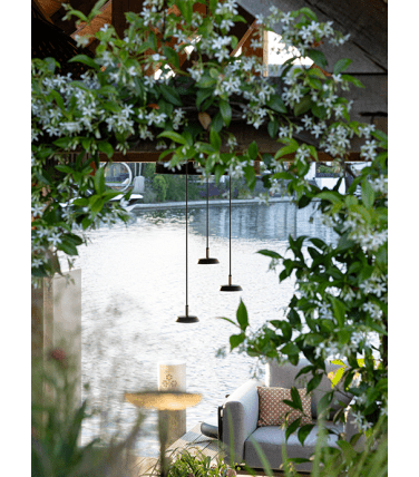 SWAY PENDANT 100-230V DUO Black 7.0 ft lead - 120V/230V - 14.2 VA - (2) SWAY PENDANT - BASE 1 from www.thelafirm.com