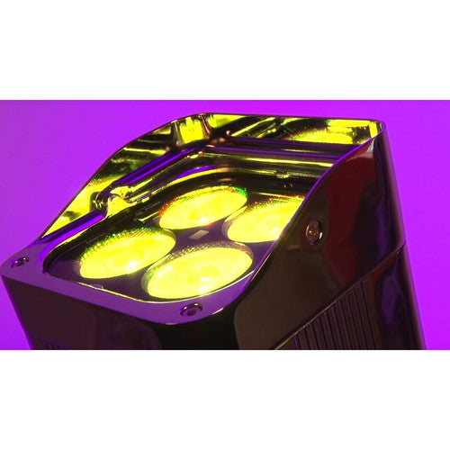 WELL Fit 6-Pack from www.thelafirm.com