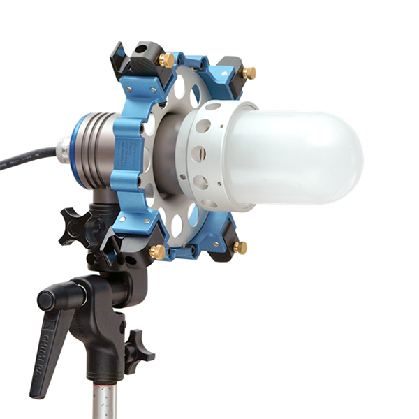 triolet euro with glass dome and qr speed ring from www.thelafirm.com