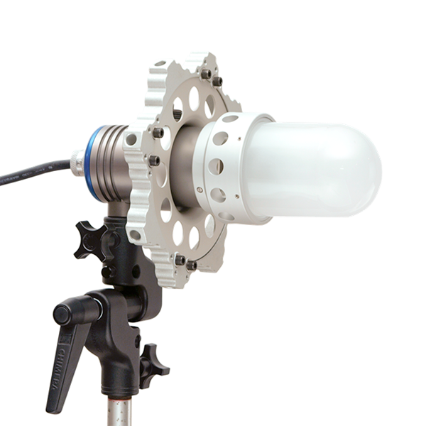 triolet euro with glass dome and octaplus speed ring from www.thelafirm.com