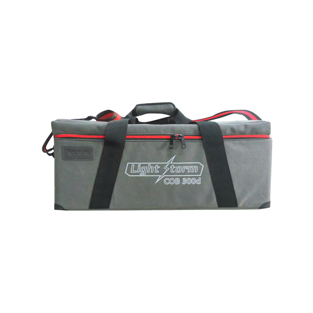 Aputure Carrying Case for LS 300 Series Lighting Accessory | The LA Firm