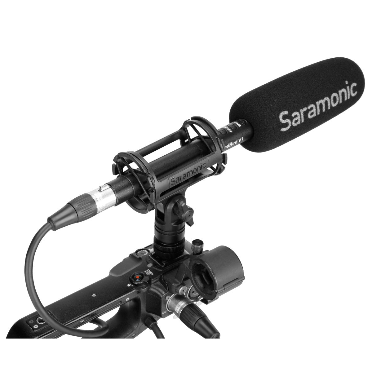 SoundBird V1 Supercardioid Shotgun Microphone (AA or +48 Powered) w/ Shock Mount, Windscreen & Cable | The LA Firm 