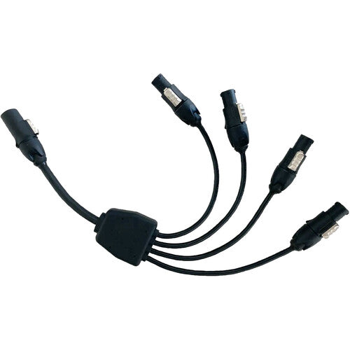 Distribution Cable for AX2 Cases from www.thelafirm.com