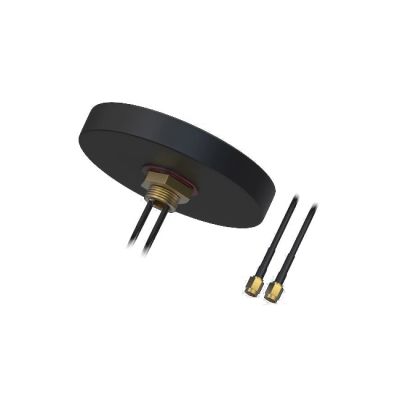 EtherWAN MOBILE MIMO External Antenna for EasyCellll | The LA Firm