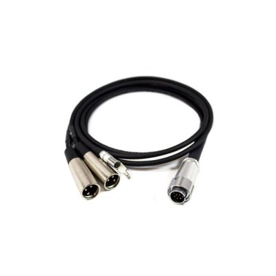 10-pin to dual-XLR output cable for FMX-42a mixer from www.thelafirm.com