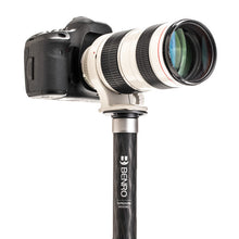 Load image into Gallery viewer, Benro MSD36C SupaDupa Monopod, 64.9&quot; max height, carbon fiber, spiked foot, CNC machined aluminum flip lock from www.thelafirm.com
