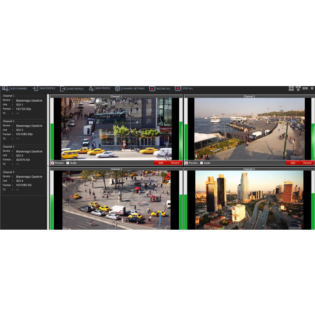 Fortinge FORINGEST-DL Foringest (Download Version)