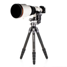 Load image into Gallery viewer, Benro TORTOISE TTOR35C Tripod with leveling base + GH2F Folding Travel Style Gimbal Head (TTOR35CLV Kit from www.thelafirm.com