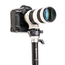 Load image into Gallery viewer, Benro MSDPL46C SupaDupa Carbon Fiber Monopod with Leveling Pan Head from www.thelafirm.com