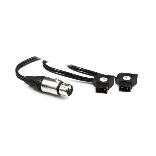 Hive Lighting Hornet 200-C Dual Battery Y-Cable (Dual D-Tap to XLR)