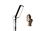 Load image into Gallery viewer, Nanlite Compac 68B Bi-Color LED Panel l from www.thelafirm.com