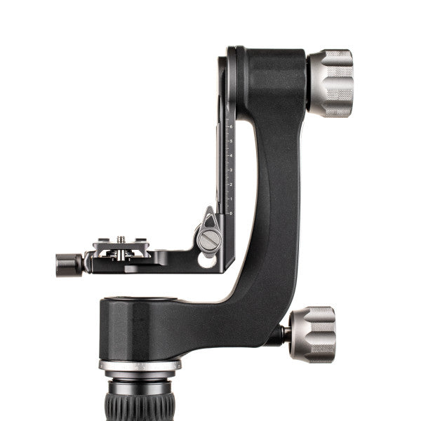 Benro Gimbal Head Aluminium from www.thelafirm.com