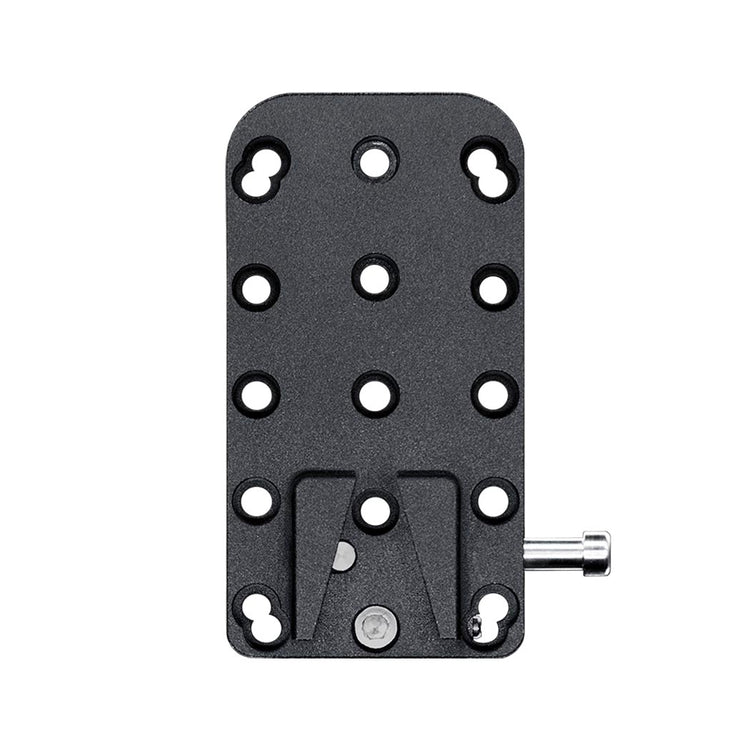 Quasar Science QSVBP Ossium Battery Plate