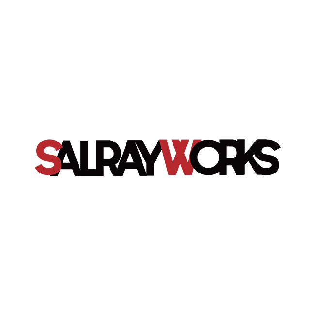 Salrayworks 2.9 mm 1/2.8'' Exmor R CMOS Ultra Latency POV Wide Lens Camera (50/60/25/30 FPS)