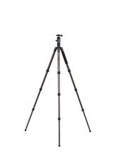 Load image into Gallery viewer, Benro Travel Angel 9X CF Series 2 Tripod Kit, 4 Section, Twist Lock, V1 Head, Monopod Conversion from www.thelafirm.com