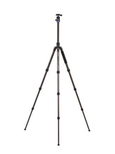 Load image into Gallery viewer, Benro Travel Angel 9X CF Series 2 Tripod Kit, 4 Section, Twist Lock, V1 Head, Monopod Conversion from www.thelafirm.com